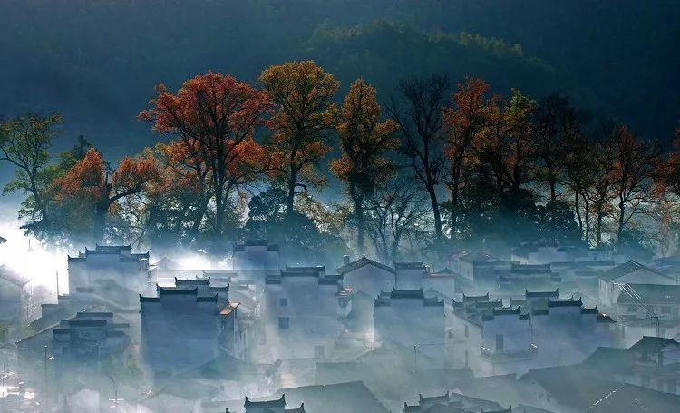 【健康】砧板发霉了？开水烫还是太阳晒？清洁不彻底可能出大事→