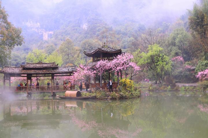 植物大战僵尸12