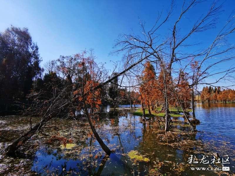 2024年首场寒潮将强势来袭