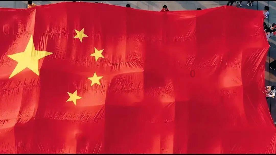 有趣的动物拼图