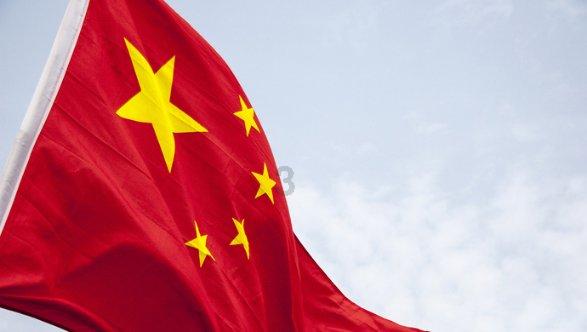 小仓鼠吃瓜子