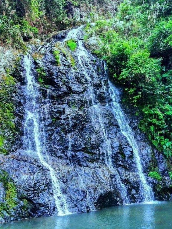 重庆授予8人见义勇为称号,村民魏大兴暴雨中清理堵塞时牺牲