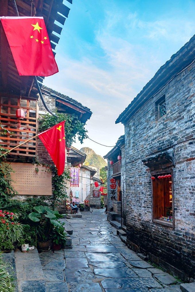 动物帮帮忙保卫家园