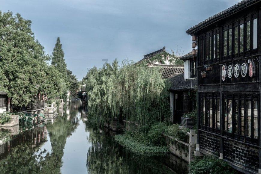 逃离龙的圣地